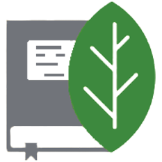 Environmental Regulation Violations in 2024